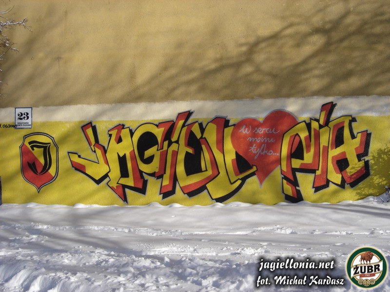 DSC00776_resize.JPG